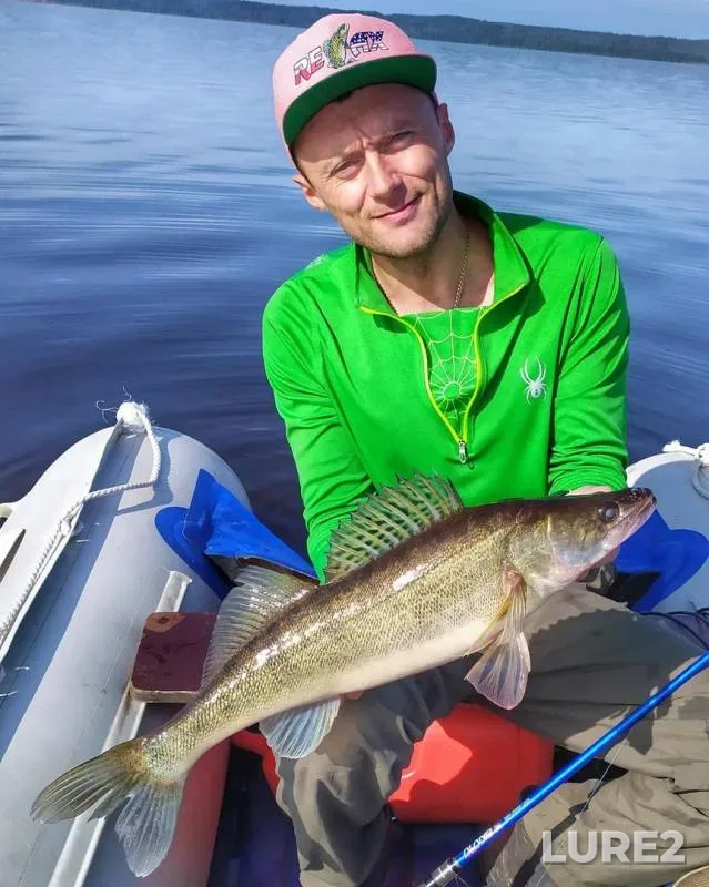 Perch, Zander — Votkinskoye, Aug 10, 2019