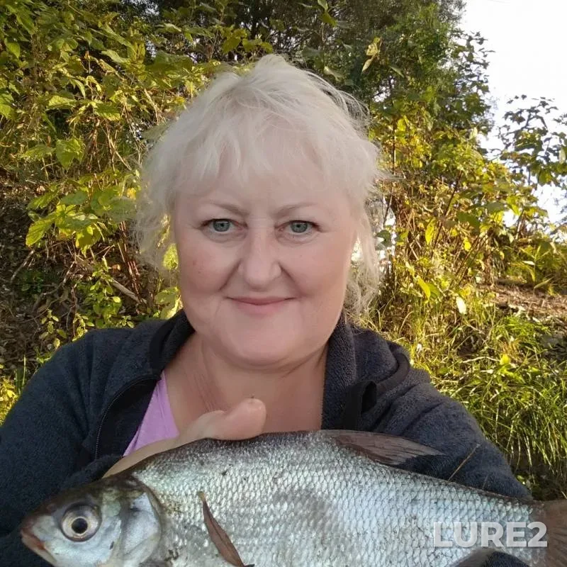Bream — Permskiy kray, Sep 11, 2019
