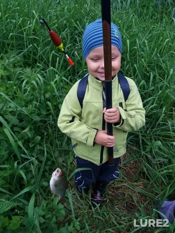 Roach — Vitushka, May 26, 2019