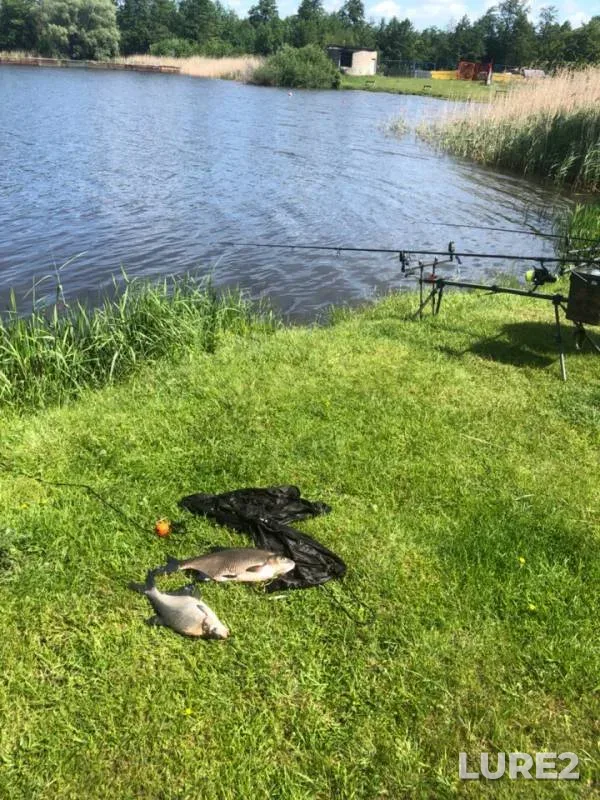 Bream — Karpovoye, Jun 02, 2019