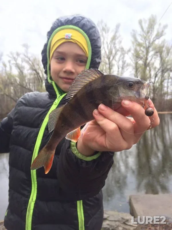Perch — Dnepr, Apr 09, 2017