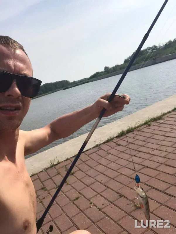 Perch — Zelenogradka, Jun 13, 2019