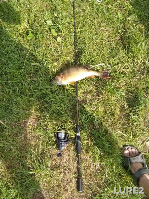 Perch — Pelavskoye, Jun 19, 2019
