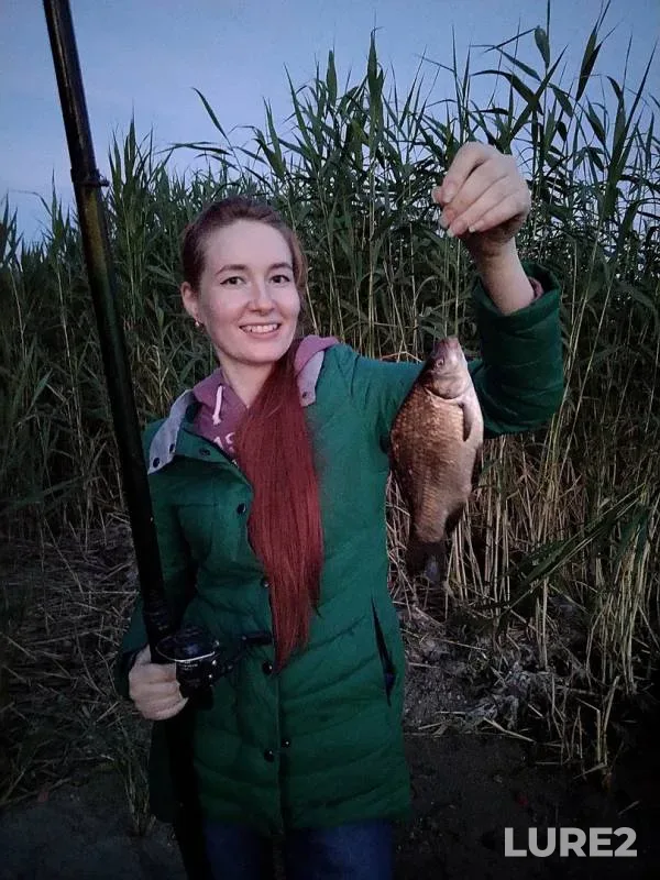 Crucian carp — Forelevoye, Jun 23, 2019