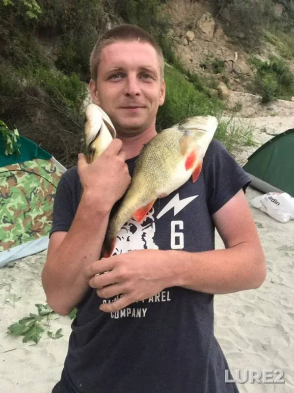 Perch — Sinyavinskoye, Jun 30, 2019