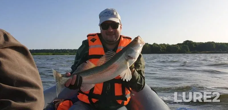 Zander — Kaliningradskaya oblast, Jun 30, 2019