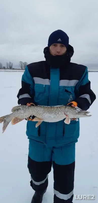 Perch, Pike — Sauskanovskoye, Nov 17, 2019