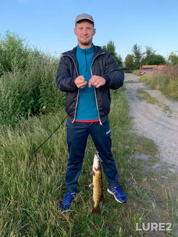 Pike — Polesskiy kanal, Jul 15, 2019