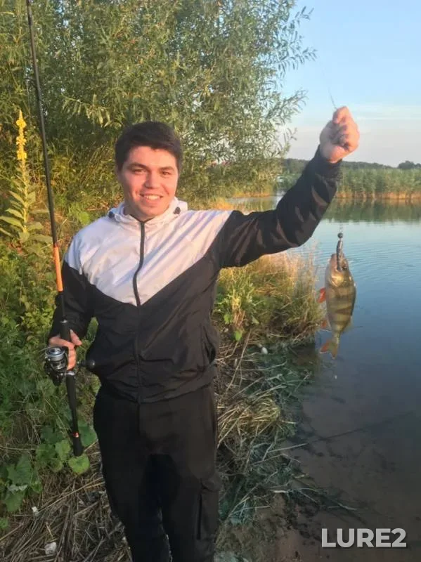 Perch — Forelevoye, Jul 16, 2019