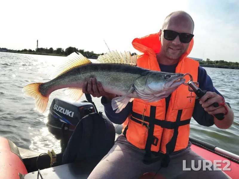 Zander — Grayevka, Jul 24, 2019
