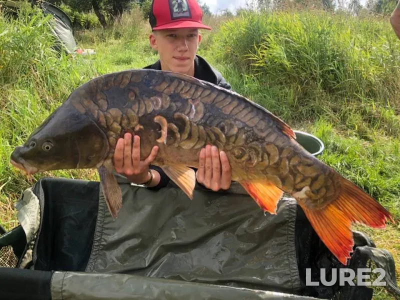 Carp — Shatry, Aug 09, 2019