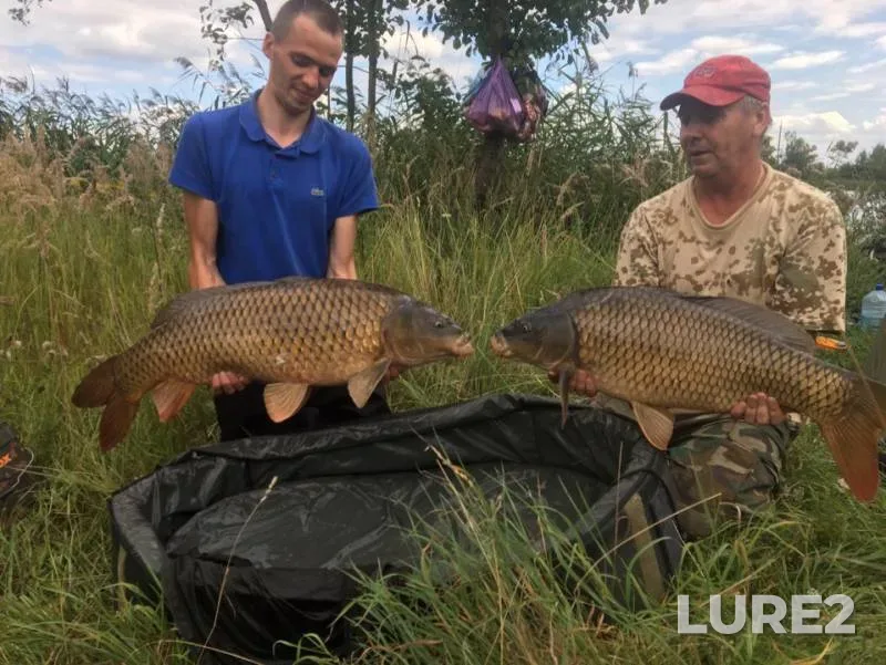 Carp — Karpovoye, Aug 19, 2019