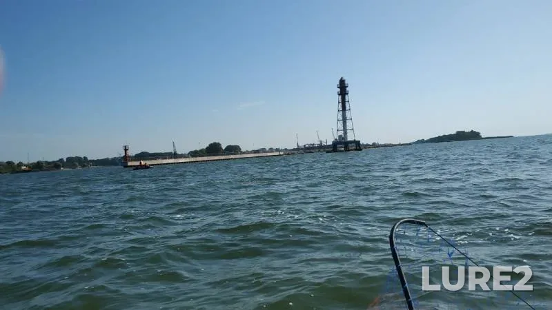 Zander — Kaliningradskaya oblast, Aug 23, 2019