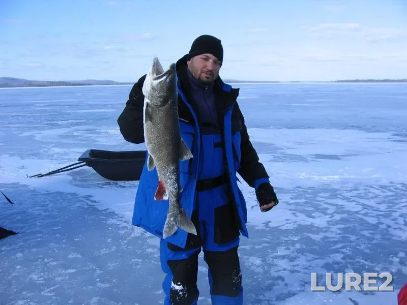 Lake trout — East Grand Lake, Feb 24, 2012, 11:58 AM