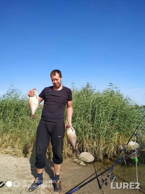 Bream — Kaliningradskiy kanal, Aug 10, 2019