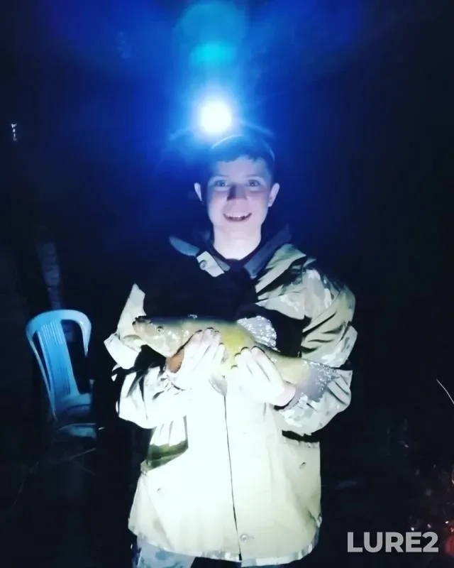 Tench — Zolotoy, Aug 24, 2019