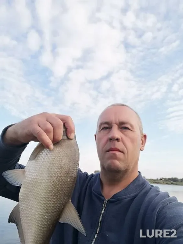 Bream — Kaliningradskaya oblast, Sep 12, 2019