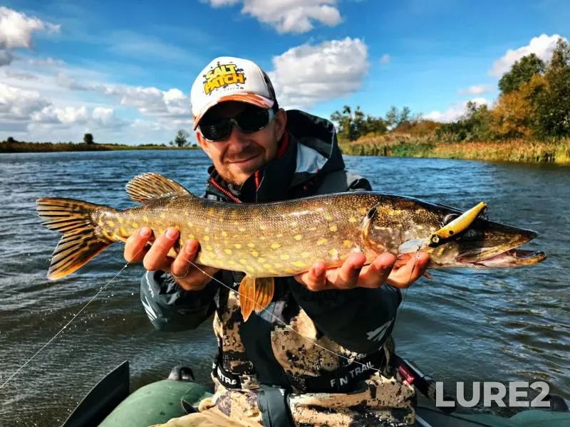 Pike — Pregolya, Sep 14, 2019