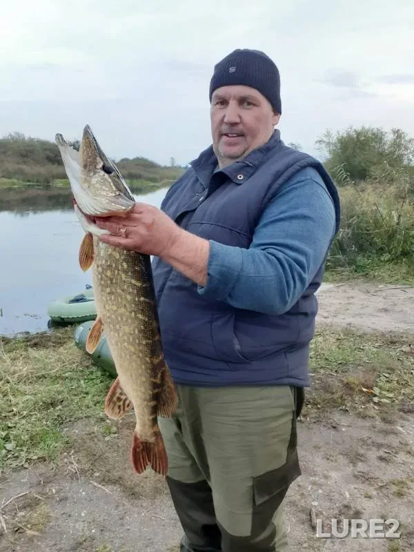 Pike — Golovkinskiy kanal, Oct 09, 2019