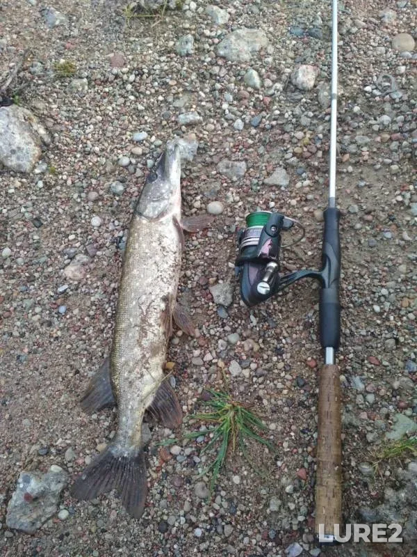 Pike — Rumynka, Oct 10, 2019