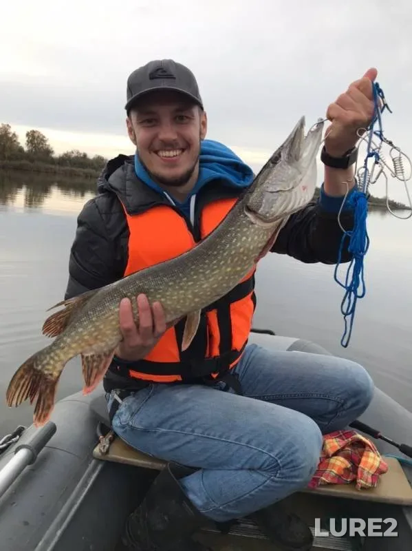Pike — Kaliningradskiy kanal, Oct 18, 2019