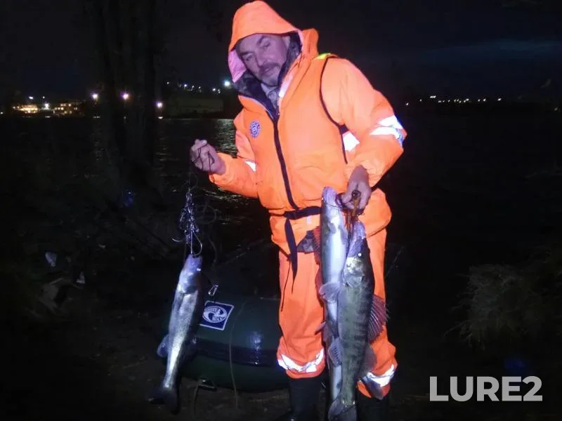 Zander — Lakovka, Nov 05, 2019