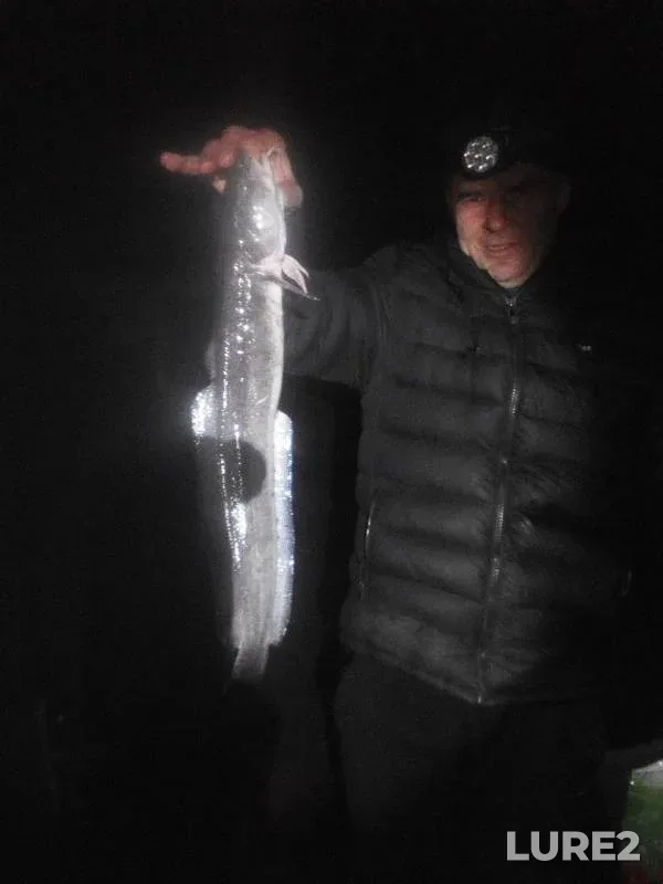 Burbot — Kama, Oct 25, 2019