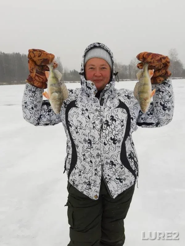 Perch — Srednyaya Vezha, Nov 02, 2019
