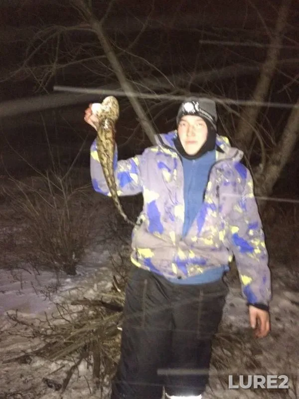 Burbot — Kama, Nov 02, 2019