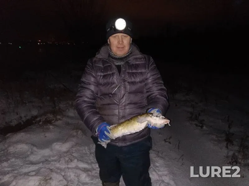 Burbot — Kama, Nov 03, 2019