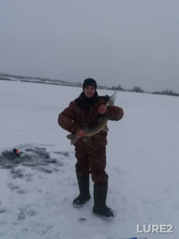Pike — Ryzh, Nov 04, 2019