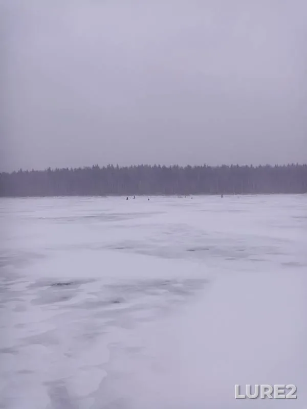 Perch, Pike — Tyusevskoye, Nov 04, 2019