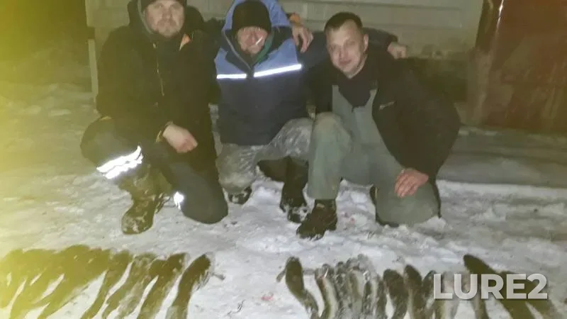 Burbot — Kama, Nov 18, 2019