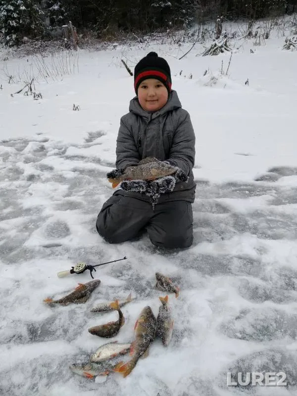Perch, Roach — Permskiy kray, Nov 24, 2019