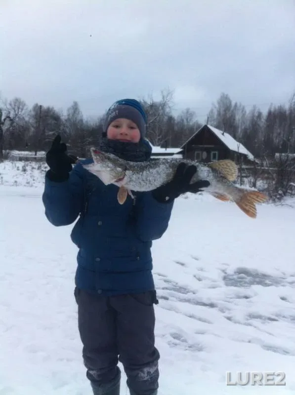 Pike — Zarich, Nov 24, 2019
