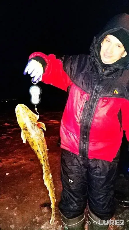 Burbot — Kama, Nov 28, 2019