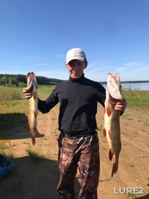 Pike — Rybinskoye, Sep 01, 2019