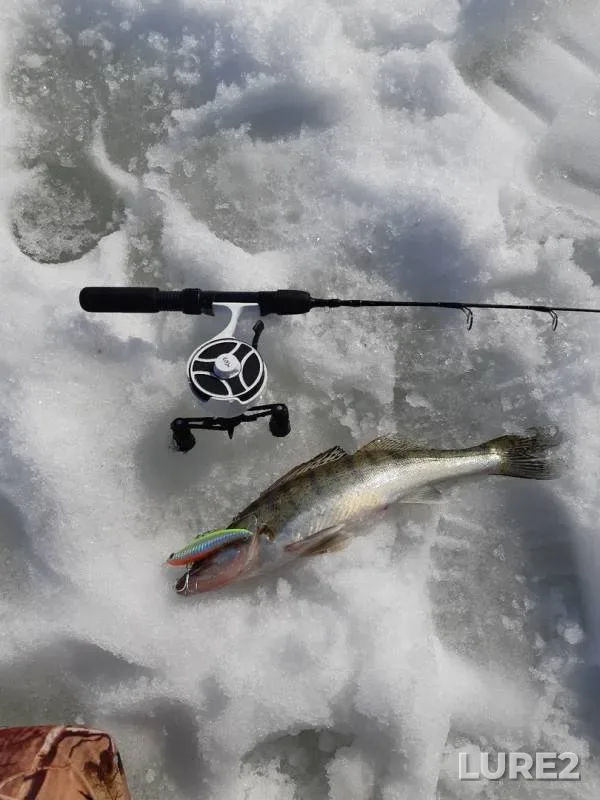 Zander — Volga, Apr 23, 2019
