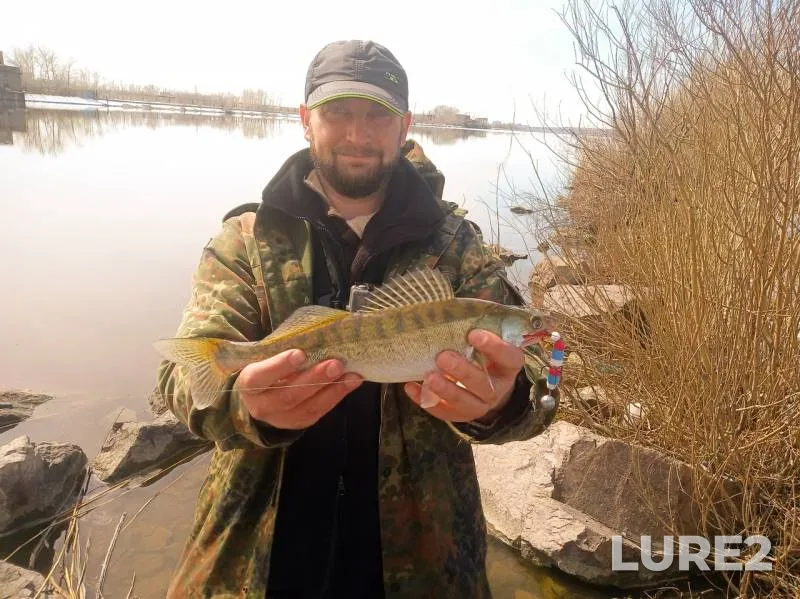 Zander — Samarkandskoye, Apr 24, 2019
