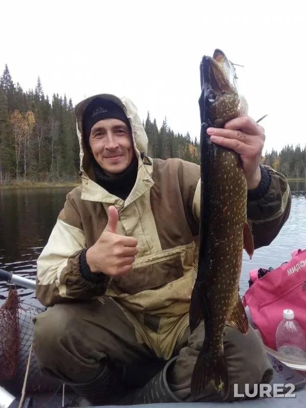 Pike — Arkhangelskaya oblast, Primorskiy munitsipalnyy okrug, Apr 25, 2019