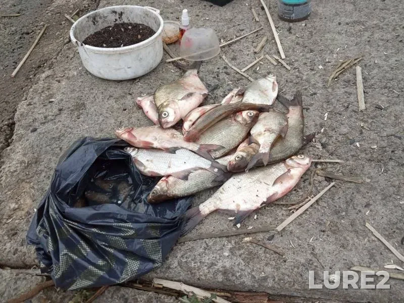 Bream — Kazanka, Jun 30, 2019