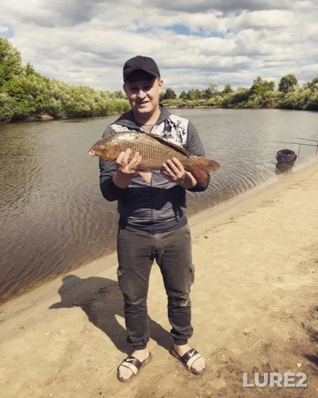 Carp — Kopanets, Jul 08, 2019