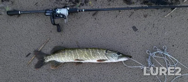 Pike — Selyava, Jul 31, 2019