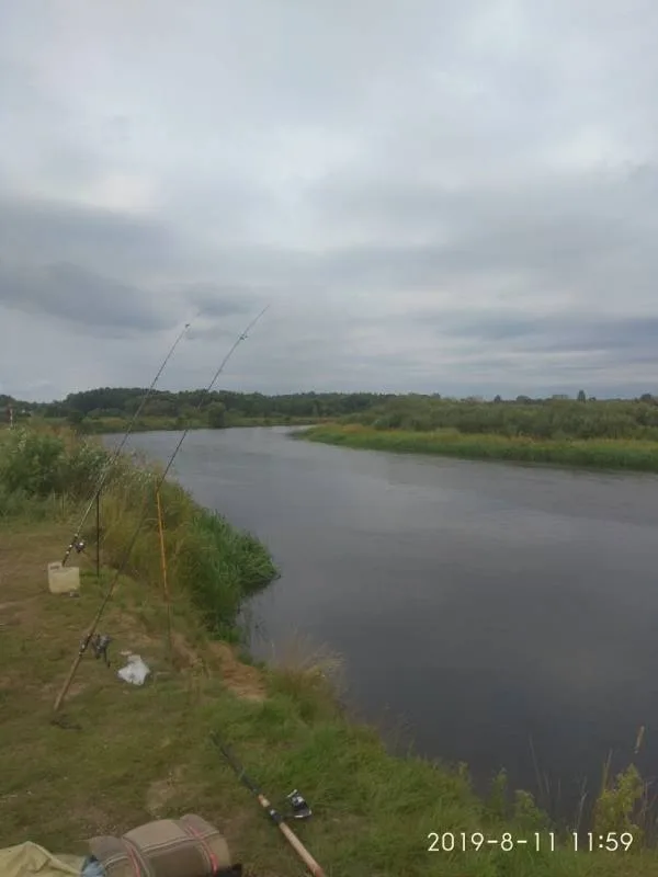 Красноперка