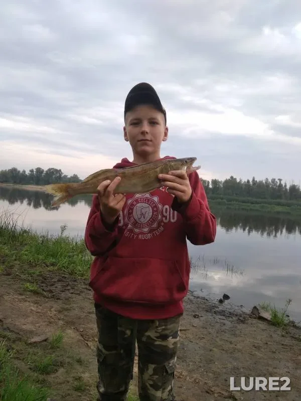 Bream, Zander — Zakovanka, Aug 14, 2019
