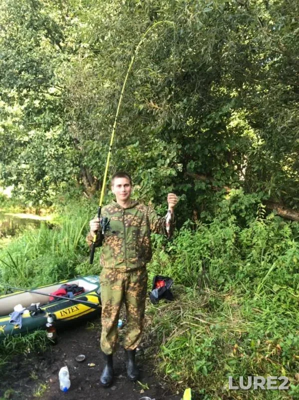 Perch, Pike — Minskaya oblast, Chervenskiy rayon, Sep 08, 2019