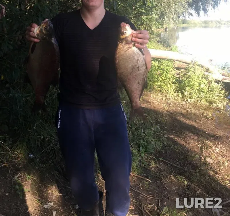 Bream, Ide — Dnepr, Aug 28, 2019