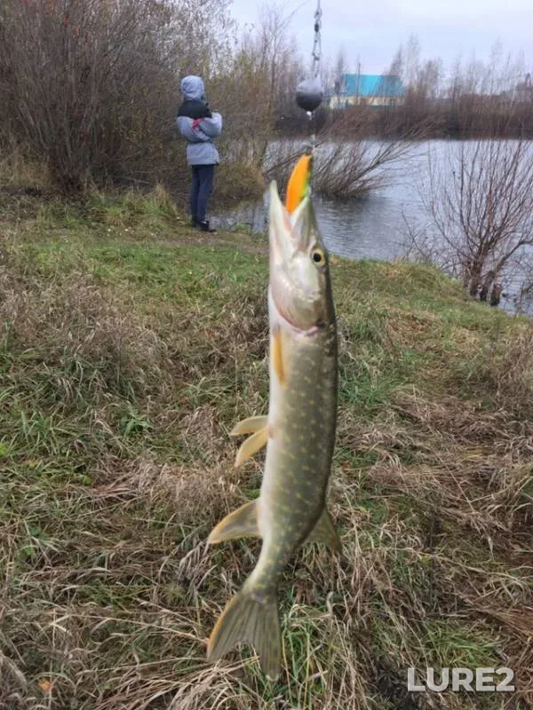 Pike — Noksa, Nov 06, 2018