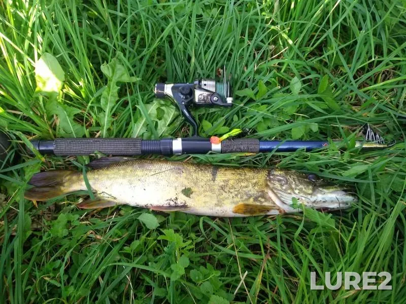 Pike — Obolyanka, Oct 23, 2019