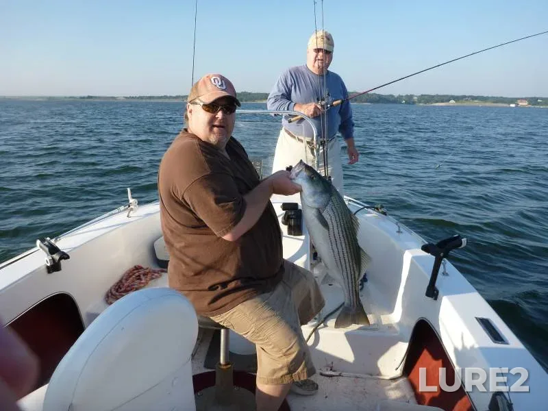 Striped bass — Lake Texoma, Jun 07, 2018, 10:09 AM